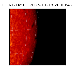gong - 2025-11-18T20:00:42