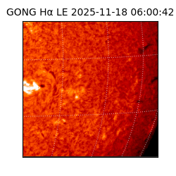 gong - 2025-11-18T06:00:42