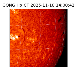 gong - 2025-11-18T14:00:42