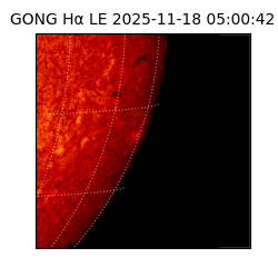 gong - 2025-11-18T05:00:42
