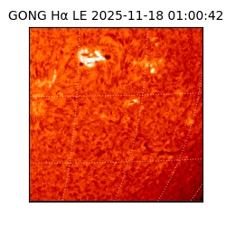 gong - 2025-11-18T01:00:42