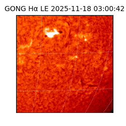 gong - 2025-11-18T03:00:42