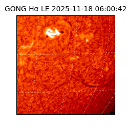 gong - 2025-11-18T06:00:42