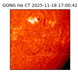 gong - 2025-11-18T17:00:42