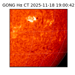 gong - 2025-11-18T19:00:42