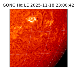 gong - 2025-11-18T23:00:42
