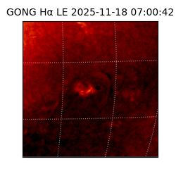 gong - 2025-11-18T07:00:42