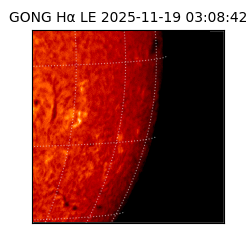 gong - 2025-11-19T03:08:42