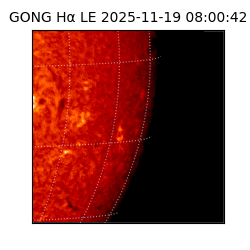 gong - 2025-11-19T08:00:42