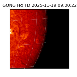 gong - 2025-11-19T09:00:22