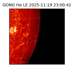 gong - 2025-11-19T23:00:42