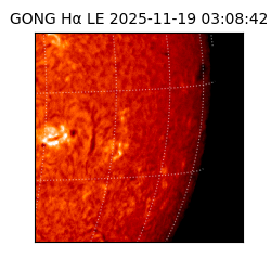 gong - 2025-11-19T03:08:42