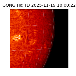 gong - 2025-11-19T10:00:22