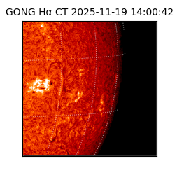 gong - 2025-11-19T14:00:42