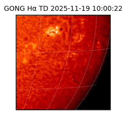 gong - 2025-11-19T10:00:22