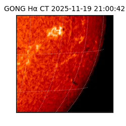 gong - 2025-11-19T21:00:42