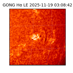 gong - 2025-11-19T03:08:42