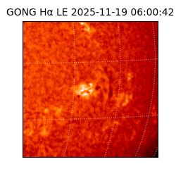 gong - 2025-11-19T06:00:42
