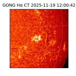 gong - 2025-11-19T12:00:42