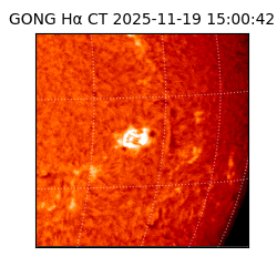 gong - 2025-11-19T15:00:42