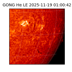 gong - 2025-11-19T01:00:42