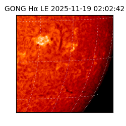 gong - 2025-11-19T02:02:42