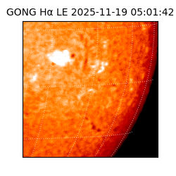 gong - 2025-11-19T05:01:42