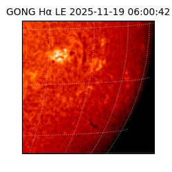 gong - 2025-11-19T06:00:42