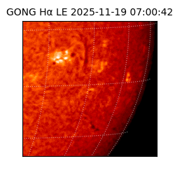 gong - 2025-11-19T07:00:42