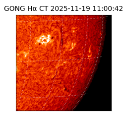 gong - 2025-11-19T11:00:42
