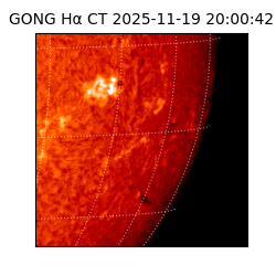gong - 2025-11-19T20:00:42