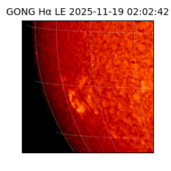 gong - 2025-11-19T02:02:42