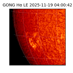 gong - 2025-11-19T04:00:42
