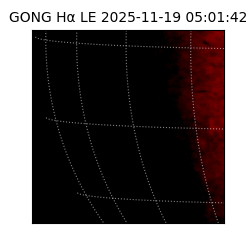 gong - 2025-11-19T05:01:42