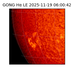 gong - 2025-11-19T06:00:42