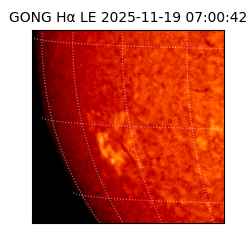 gong - 2025-11-19T07:00:42