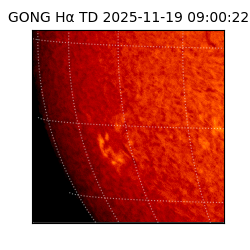 gong - 2025-11-19T09:00:22