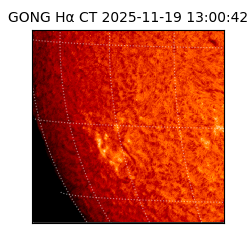 gong - 2025-11-19T13:00:42