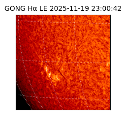 gong - 2025-11-19T23:00:42