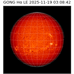 gong - 2025-11-19T03:08:42
