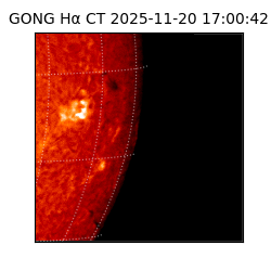 gong - 2025-11-20T17:00:42