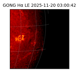 gong - 2025-11-20T03:00:42