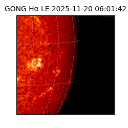 gong - 2025-11-20T06:01:42