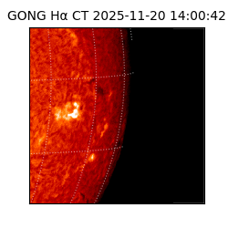 gong - 2025-11-20T14:00:42