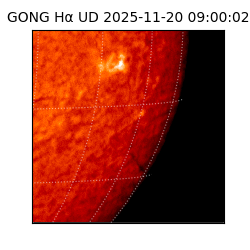 gong - 2025-11-20T09:00:02