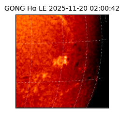 gong - 2025-11-20T02:00:42