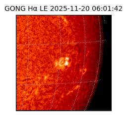 gong - 2025-11-20T06:01:42