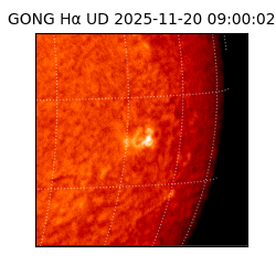 gong - 2025-11-20T09:00:02
