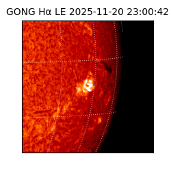 gong - 2025-11-20T23:00:42