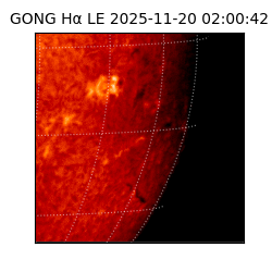 gong - 2025-11-20T02:00:42